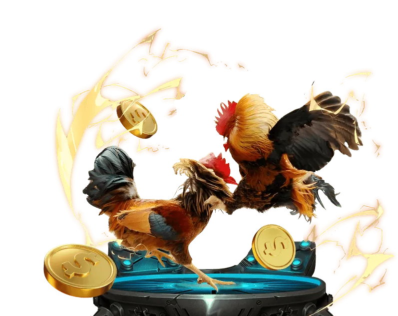 Hình ảnh lời khuyên hữu ích khi tham gia cá cược